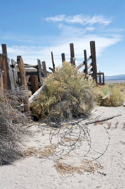 istock Rustic old cattle corral in the high desert 954083798