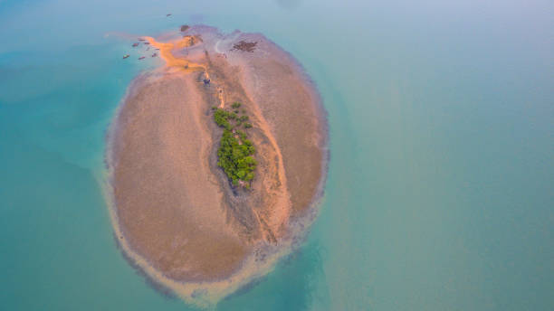 istock Coral emerges from the water at a reduced water level. 954083818