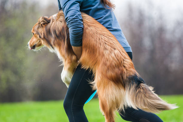 istock Girl with her dog 954084160