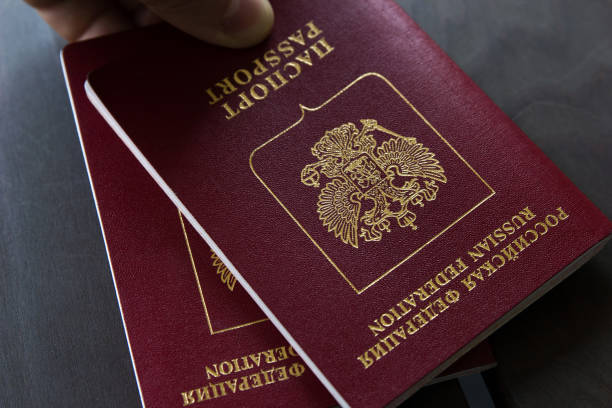 istock Male hand on a two red passports on a gray background 954084510