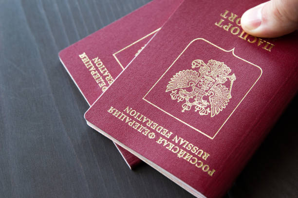 istock Two passports on a grey neutral background, closeup 954084578