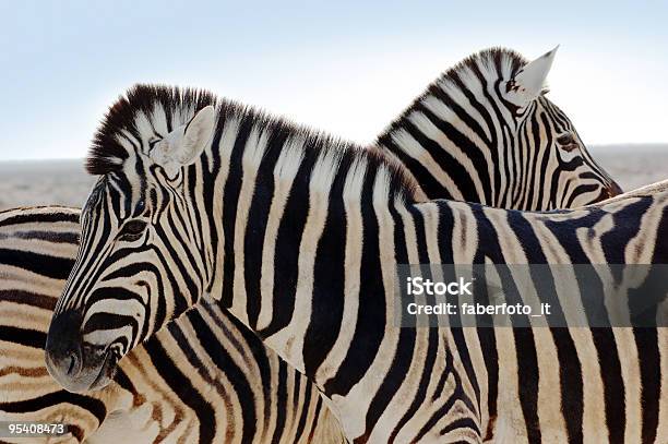 A Zebra Family Standing Together In The Wild Stock Photo - Download Image Now - Africa, Animal, Animal Skin