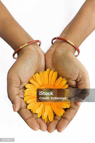 Gerbera In Der Hand Stockfoto und mehr Bilder von Abschirmen - Abschirmen, Armband, Baumblüte