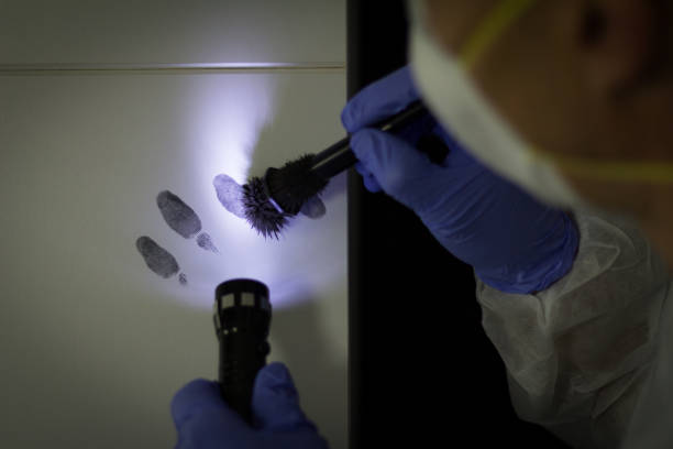 Human fingerprints. Crime Scene Investigation.