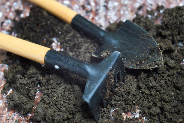 istock Tool kit for indoor plants, on a oilcloth background. 954089794