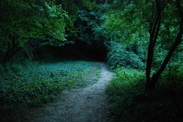 istock kosutnjak park belgrade 954093390