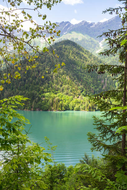 istock Alpine lake Ritsa in Abkhazia 954094116