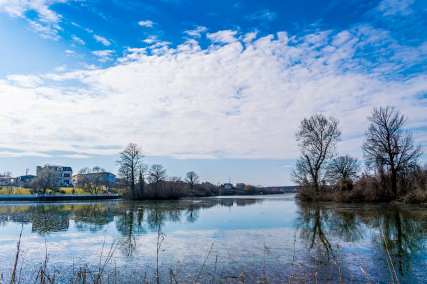 istock Lake and trees with blue sky 954098258