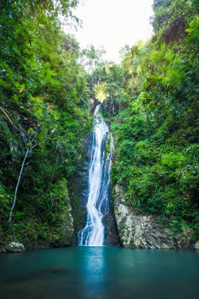istock Waterfall in the tropical rainforest landscape 954103380