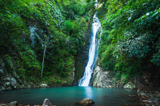 istock Waterfall in the tropical rainforest landscape 954103590