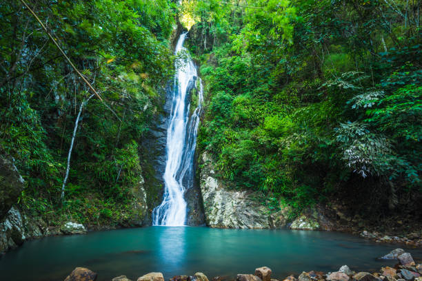 istock Waterfall in the tropical rainforest landscape 954103700