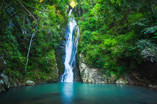 istock Waterfall in the tropical rainforest landscape 954104576