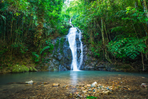 istock Waterfall in the tropical rainforest landscape 954104610