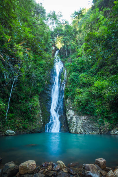 istock Waterfall in the tropical rainforest landscape 954104964