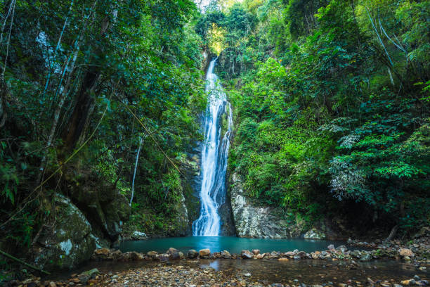 istock Waterfall in the tropical rainforest landscape 954105594
