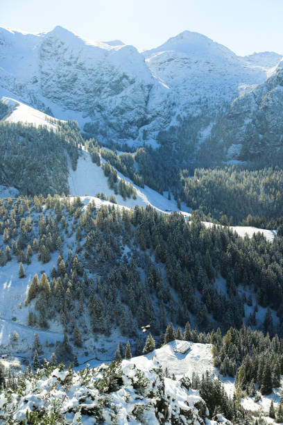 istock Winter in the Alps 954108870