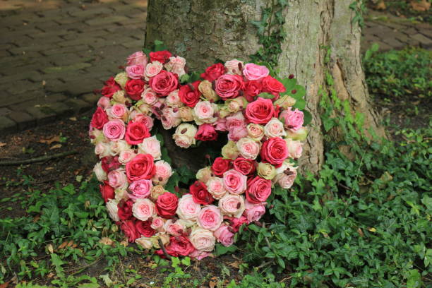 istock Sympathy flowers near a tree 954116966