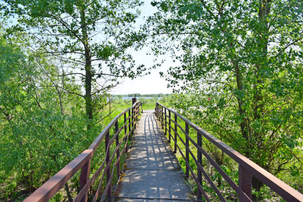 istock Mysterious bridge over the canal in the spring sunny park 954124470