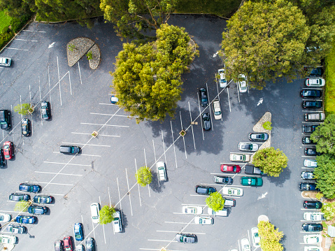 This picture shows a parking area surrounded by greenery.There are some cars.