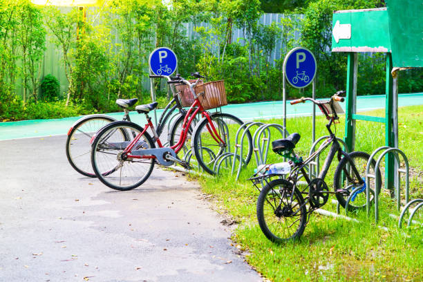 istock Bicycle parking in the park 954129840