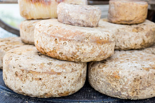 rustykalne francuskie koła serowe ułożone na rynku - meal traditional culture heap food and drink zdjęcia i obrazy z banku zdjęć