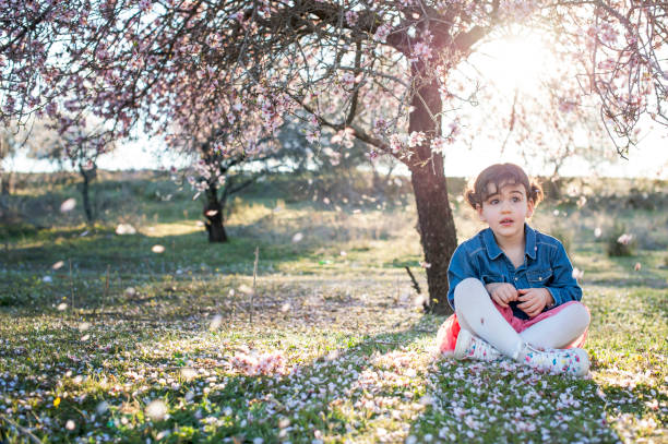 istock little girl posing in spring almond blossom 954132306