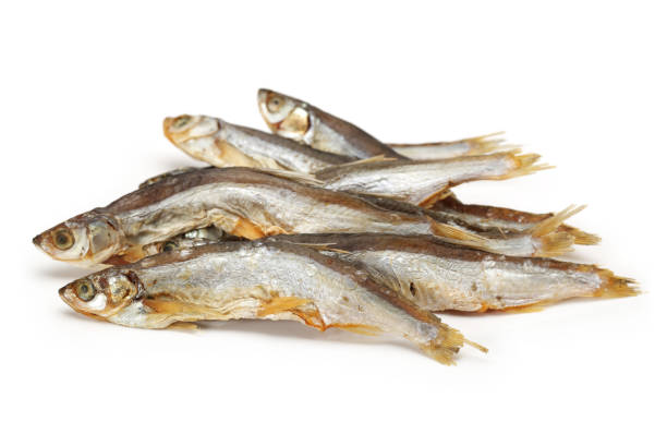 istock Dried fishes isolated on white background 954139572