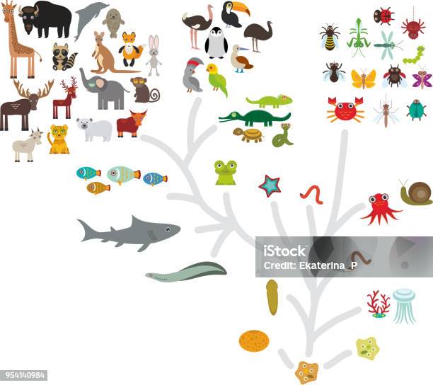 Evolution Scale From Unicellular Organism To Mammals Evolution In Biology Scheme Evolution Of Animals Isolated On White Background Childrens Education Science Vector Stock Illustration - Download Image Now