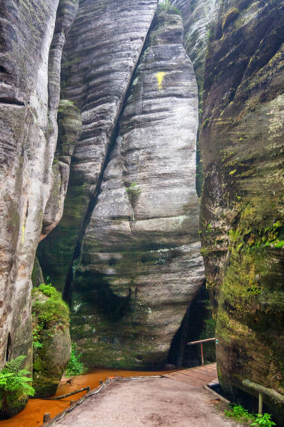 istock Footpath through the rock city in Adrspach. 954141090