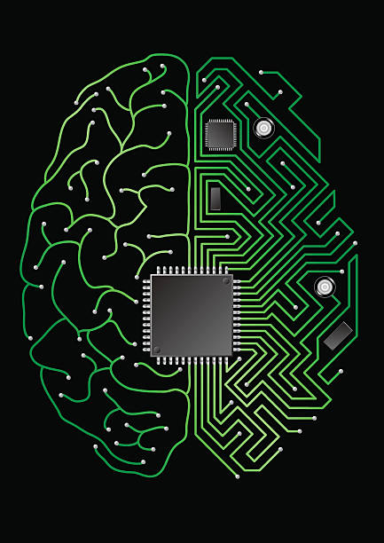 Digital brain vector art illustration