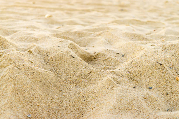 istock Close up of yellow sand 954151058