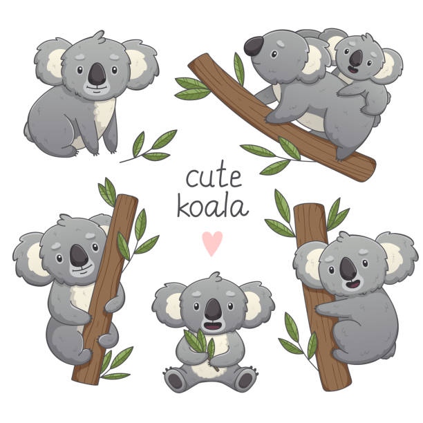 симпатичный серый коала набор в различеных позах. - koala stock illustrations