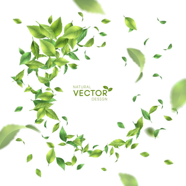 Green Flying Leaves Green flying or falling off leaves. Vector abstract foliage background wind backgrounds stock illustrations
