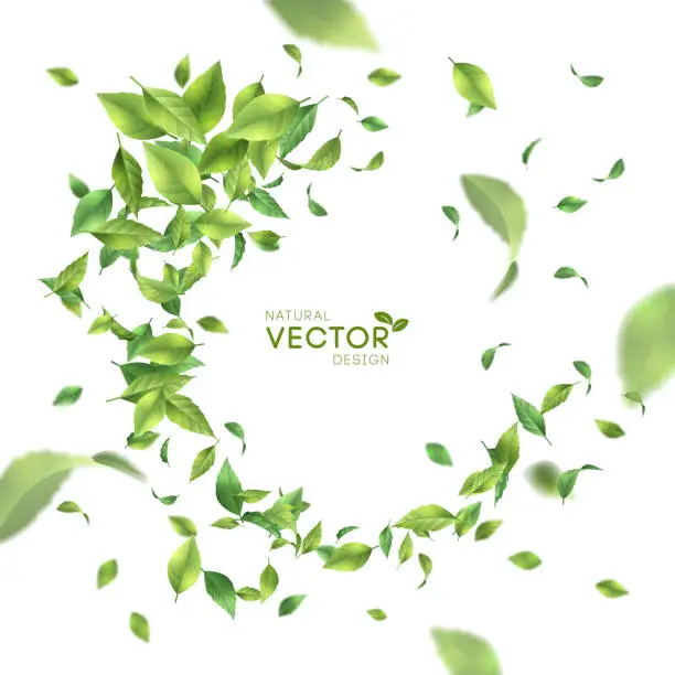 Vector illustration of Green Flying Leaves