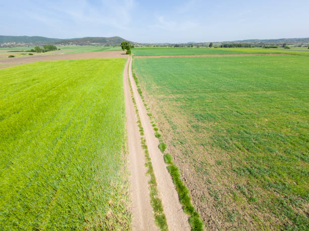 istock Green grass agriculture fields in springtime. Aerial view. 954156950