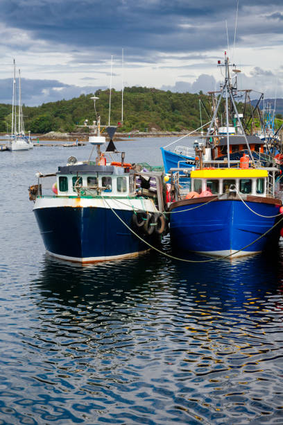 istock Fishing boats at Tarbert Harbour Argyll and Bute Scotland UK 954161122