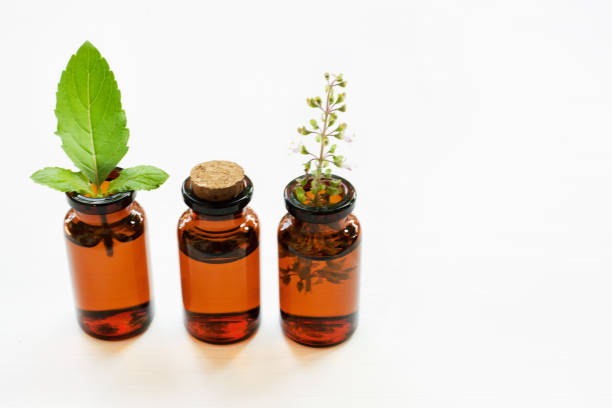istock Holy basil essential oil with leaves and flower. 954164462