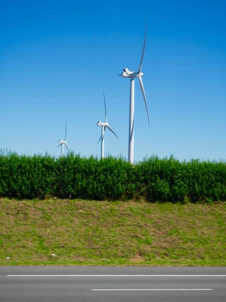 istock Windmill in France 954166186