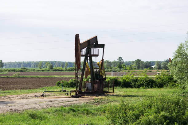 istock Oil rigs work in the field 954168392