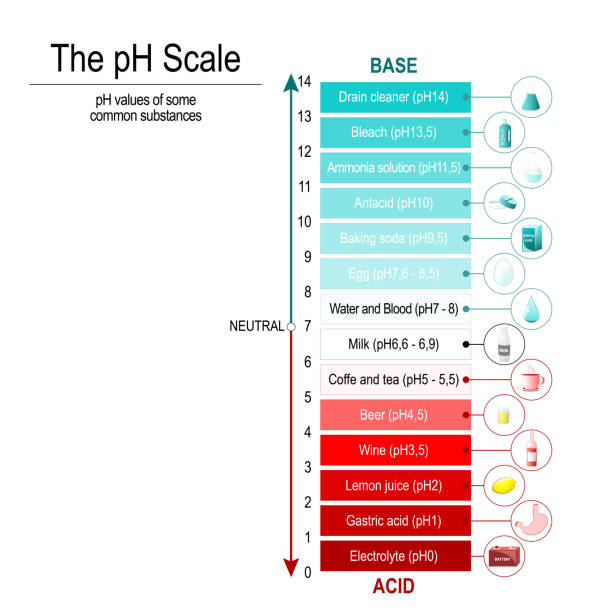 279 Ph Scale Illustrations & Clip Art - iStock | Ph Level Chart, Ph ...