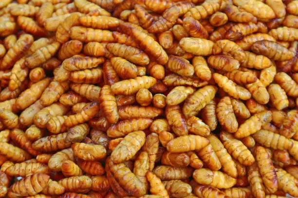 Photo of Fried Silk Worms - Street Food In Thailand