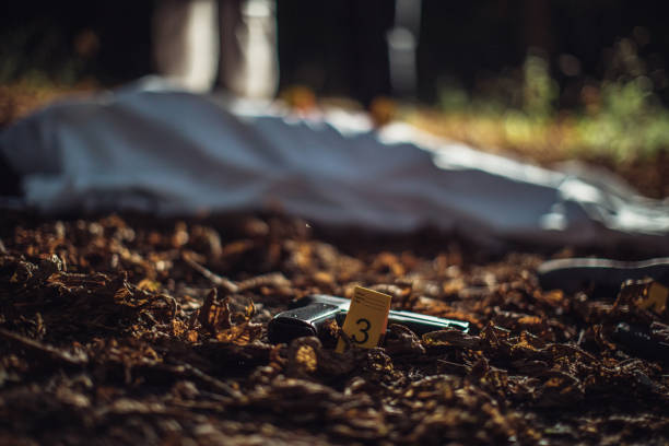 Dead body Dead body covered with sheet on murder crime scene revenge photos stock pictures, royalty-free photos & images