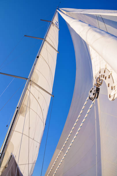 istock View from a sailboat's bow with mast and full sails 954178062