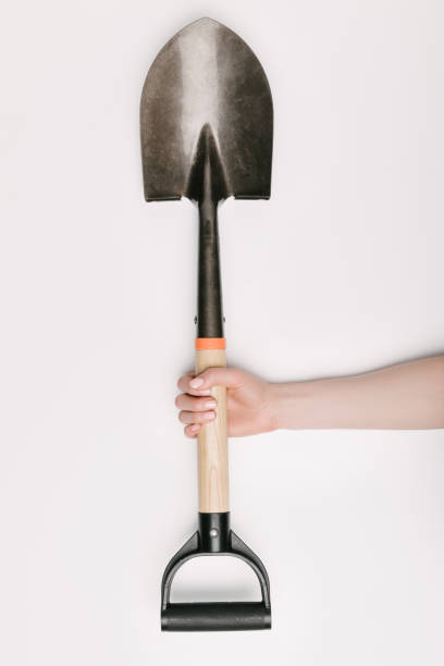 vista parcial de mano femenina con pala aislada en blanco - hand shovel fotografías e imágenes de stock