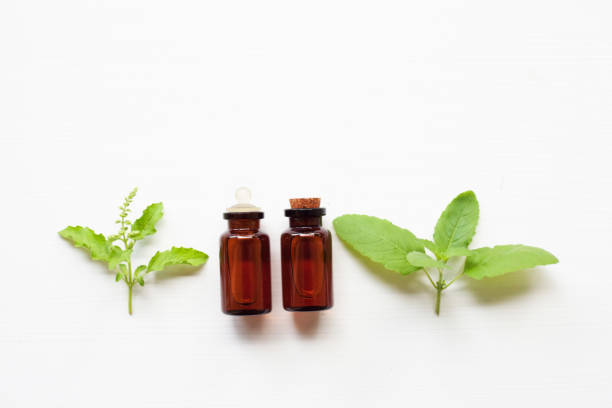 istock Holy basil essential oil with leaves and flower. 954190550