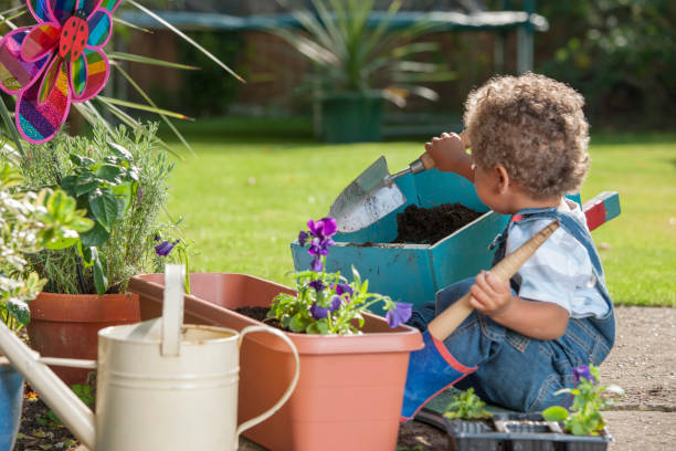 istock Boy holding dibble and shovel while gardening 954191046
