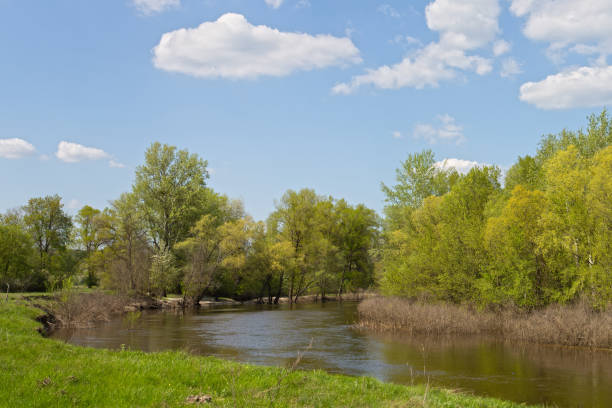 istock Small river with a high water level on a sunny day 954191340