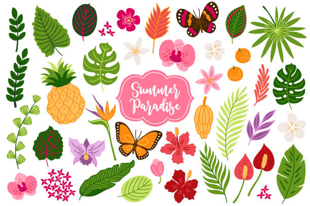 ilustraciones, imágenes clip art, dibujos animados e iconos de stock de conjunto de elementos de diseño de selva - flores tropicales, mariposas, orquídeas, hibiscus - alcatraces de colores