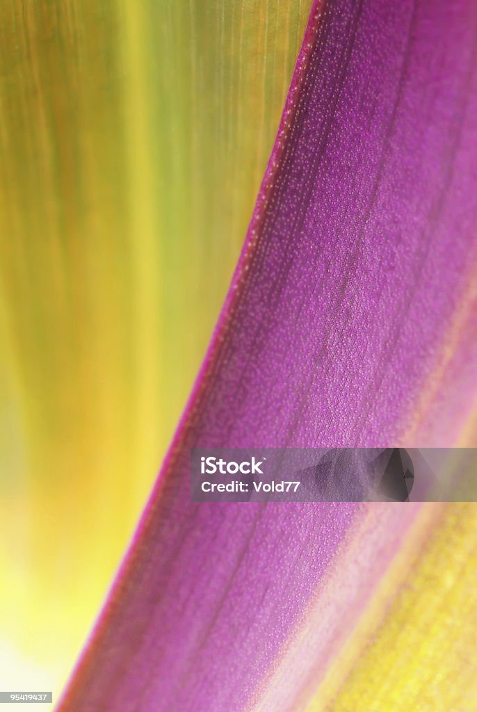 Organic Plant Background  Abstract Stock Photo