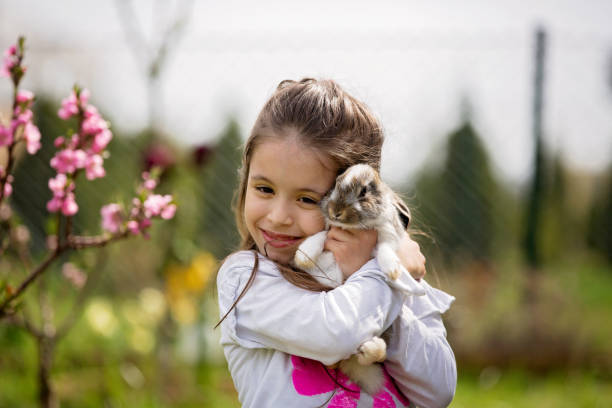 mała dziewczynka bawi się z białym królikiem w parku w słoneczny letni dzień - child outdoors bow horizontal zdjęcia i obrazy z banku zdjęć